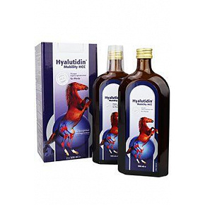 Hyalutidin Mobility HCC 2x500ml Hyalutidin Mobility HCC 2x500ml