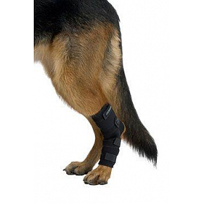 Bandaż Rehab karpowy dla psa KRUUSE XXS