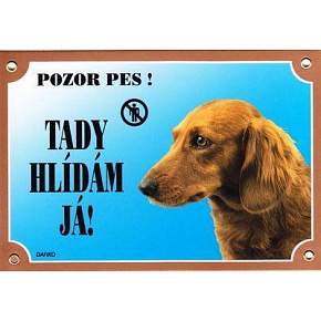 Kolorowa tabliczka Uwaga pies, Jamnik długowłosy