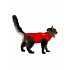 Kombinezon ochronny MPS Cat 43cm S