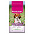 Eukanuba Dog Puppy Small&Medium bogata w jagnięcinę 3kg