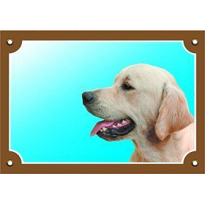 Kolorowa tabliczka Uwaga pies, Golden Retriever