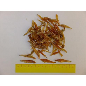 Przysmak Salač Rybki suszone 100 g