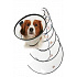 Zestaw kołnierzy ochronnych BUSTER plastikowy Quick Collar 7 sztuk