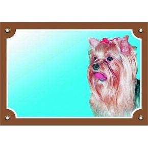 Kolorowa tabliczka Uwaga pies, Yorkshire Terrier