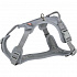 Szelki PREMIUM ACTIVE, grafit