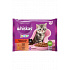 Whiskas saszetka Core Junior klasyczna.wybór w soku 4x85g