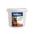 Nutri Horse Capillaris 2kg