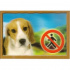 Tabliczka 3D PSY, Beagle
