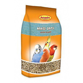 Avicentra owies nagi 1kg