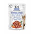 Brit Care cat Saszetka Sterilized Fillets in Jelly with Hearty Duck & Tender Turkey 24 x 85 g