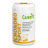 Canvit Chondro Sport dla psów 230g