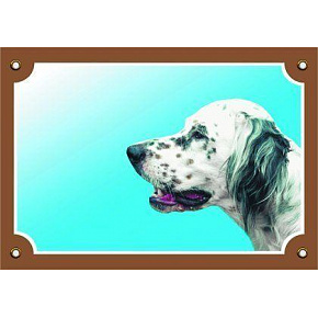 Kolorowa tabliczka Uwaga pies, Angielski seter biały