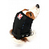 Bandaż na uszy i głowę dla psa BUSTER XS