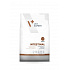 VetExpert VD puppy Intestinal 2 kg