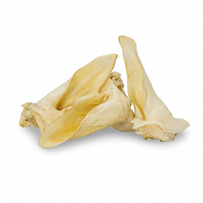 Białe ucho sarny (popcorn) - 1 szt.