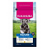 Eukanuba Dog Mature Small bogata w świeżego kurczaka 3kg