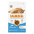 Iams Cat Senior Ocean Fish 3kg