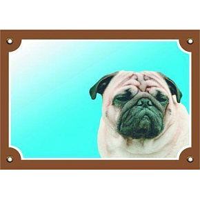 Kolorowa tabliczka Uwaga pies, Mops Kolorowa tabliczka Uwaga pies, Mops