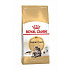 Royal Canin Breed Feline Maine Coon 10 kg