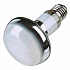 Basking Spot-Lamp (RP 2,10 €)