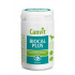 Canvit Biocal Plus dla psów smakowy 1000g