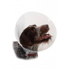 Kołnierz ochronny BUSTER plastikowy Classic Collar 35cm