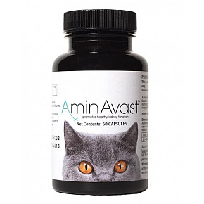 AminAvast 300 mg 60 kaps. kot i mały pies