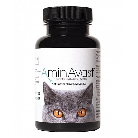AminAvast 300 mg 60 kaps. kot i mały pies