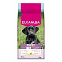 Eukanuba Dog Puppy Large bogaty w świeżego kurczaka 15kg