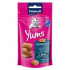 Vitakraft Cat przysmak. Yums łosoś 40g
