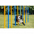 AGILITY Slalom, tyczki 12 sztuk