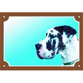 Kolorowa tabliczka Uwaga pies, Dog harlekin
