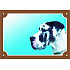 Kolorowa tabliczka Uwaga pies, Dog harlekin