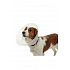 Kołnierz ochronny BUSTER plastikowy Classic Collar 40cm