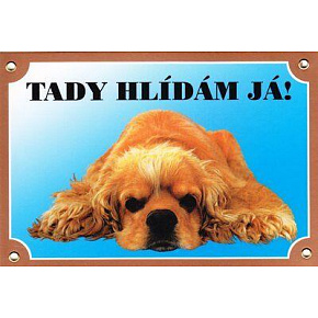 Kolorowa tabliczka Uwaga pies, Leżący amerykański cocker spaniel