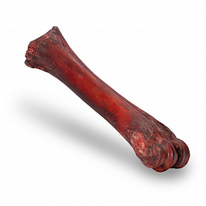 KIDDOG 100% Natural Snack, wędzona wołowa kość piszczelowa - 1 szt. / 20-24 cm