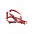 Szelki BUSTER Airmesh odblaskowe S, 20mm czerwone