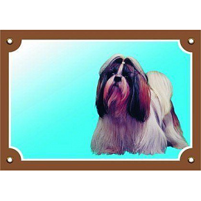 Kolorowa tabliczka Uwaga pies, Shih Tzu