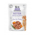 Brit Care cat Saszetka Kitten Fillets in Jelly with Savory Salmon 24 x 85 g