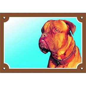 Kolorowa tabliczka Uwaga pies, Dogue de Bordeaux