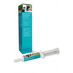 Pasta Pet Intestinal Formula 60ml CVET