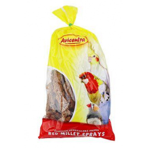 Avicentra senegalskie proso kłosy 100g