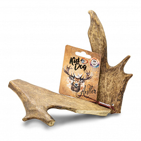 KIDDOG Antler, poroże daniela - XL KIDDOG Antler, poroże daniela - XL