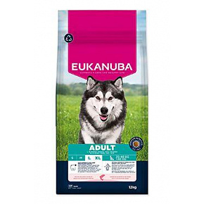 Eukanuba Dog Adult Large bogaty w łososia i jęczmień 12kg
