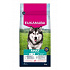 Eukanuba Dog Adult Large bogaty w łososia i jęczmień 12kg