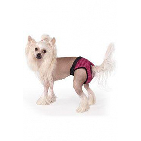 Majtki na cieczkę Fun Colours M Majtki na cieczkę Fun Colours M