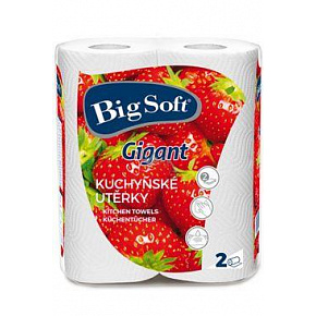 Ręczniki kuchenne papierowe Big Soft Gigant 2-warstwowe 2 szt.