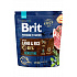 Brit Premium Dog by Nature Sensitive Lamb 1kg