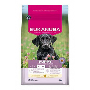 Eukanuba Dog Puppy Large bogaty w świeżego kurczaka 3kg